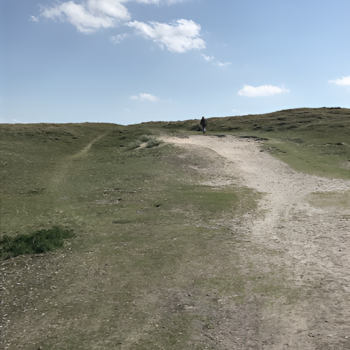 Johanna ten Hove – Kranenburg