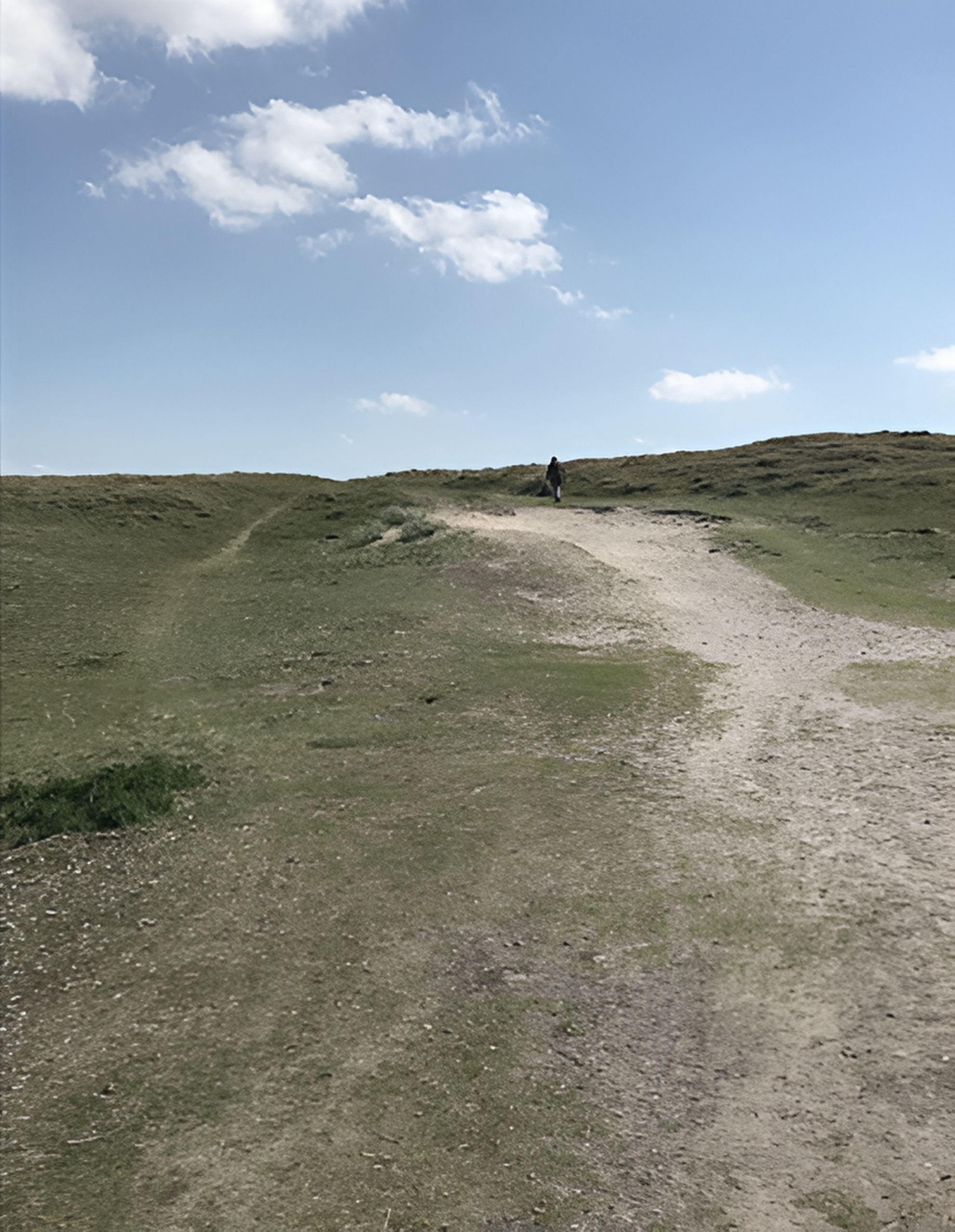 Johanna ten Hove – Kranenburg